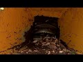 German community fights energy costs with wood  - 02:05 min - News - Video