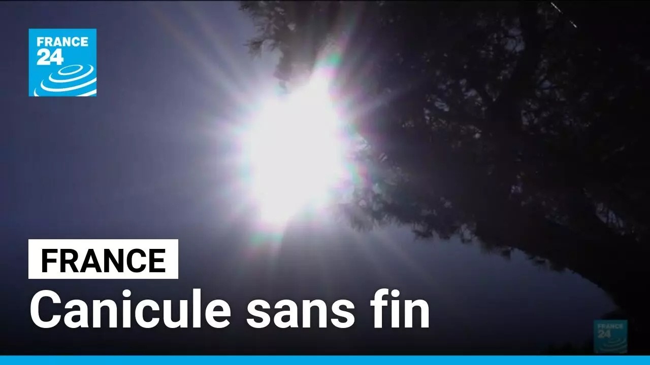 Canicule sans fin à Antibes : 5ème vague de chaleur en France • FRANCE 24