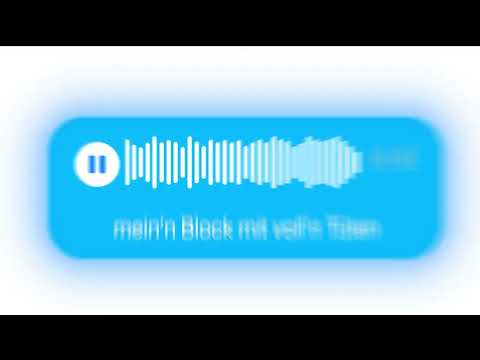 pashanim - erstersommerohnedich (Lyricvideo)