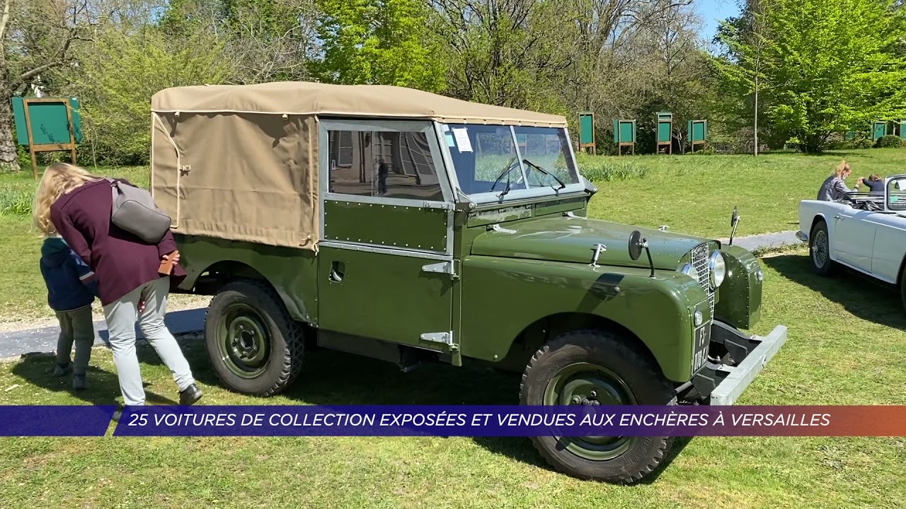 Yvelines | 25 voitures de collection exposées et vendues aux enchères à Versailles
