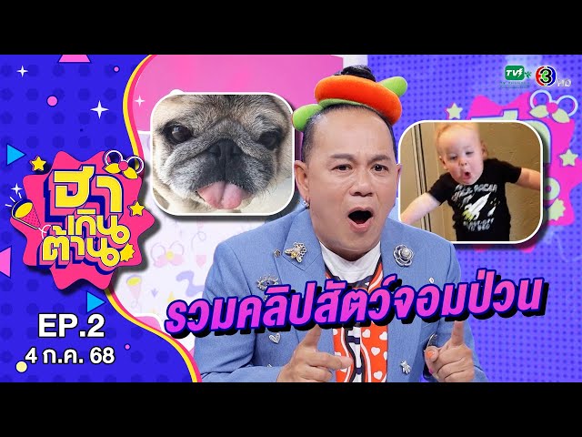 ฮาเกินต้าน | รวมคลิปสัตว์จอมป่วน | EP.2