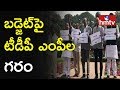 TDP MPs protest in Parliament against Union Budget 2018-19