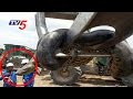 Terrifying 33ft Anaconda Caught in Brazil