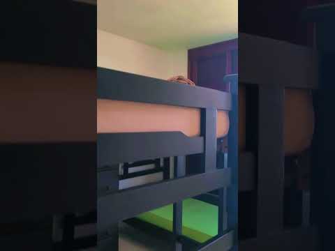 Video realizado por la propiedad