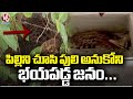 Public Fear Seeing Forest Cat As Tiger At Medchal District | V6 News