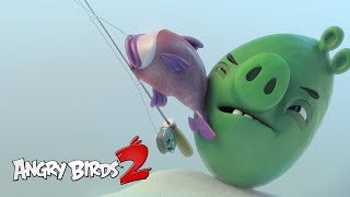 Angry Birds - Piggy Tales - Rybaka