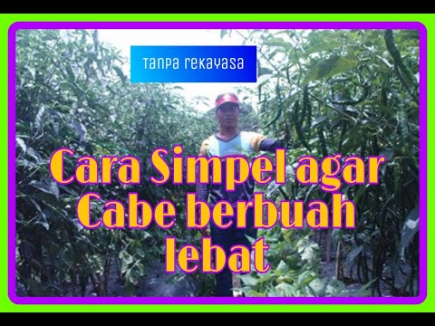 alat pertanian canggih flv VideoMoviles com