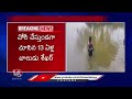 Thief Incident In Jogipet | Sangareddy | V6 News  - 03:25 min - News - Video