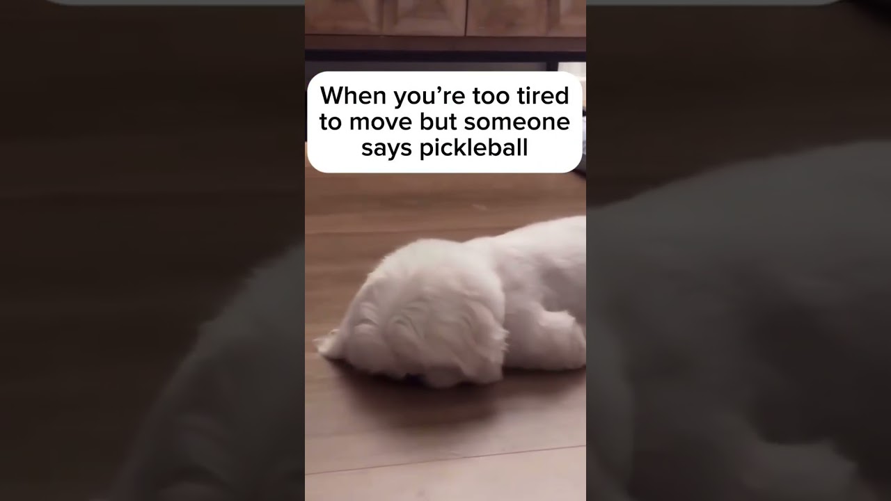 Where and when? 🏓 #pickleballmemes #funnyshorts #pickleball