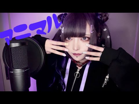 アニマル - DECO*27, Rockwell feat. 黒魅らら - Utaite Database