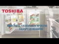 Ремонт холодильников  Toshiba