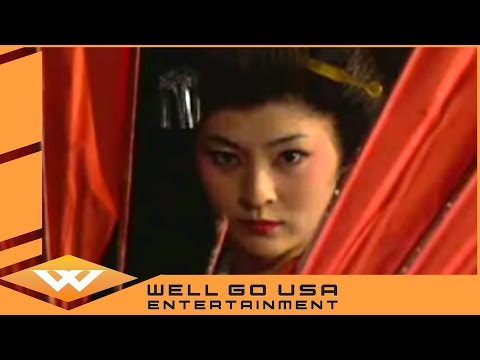 Geisha vs ninja'
