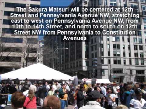 Pictures of Sakura Matsuri Japanese Street Festival, Washington DC, US
