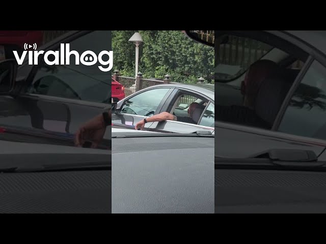 Bro Driving From the Backseat || ViralHog