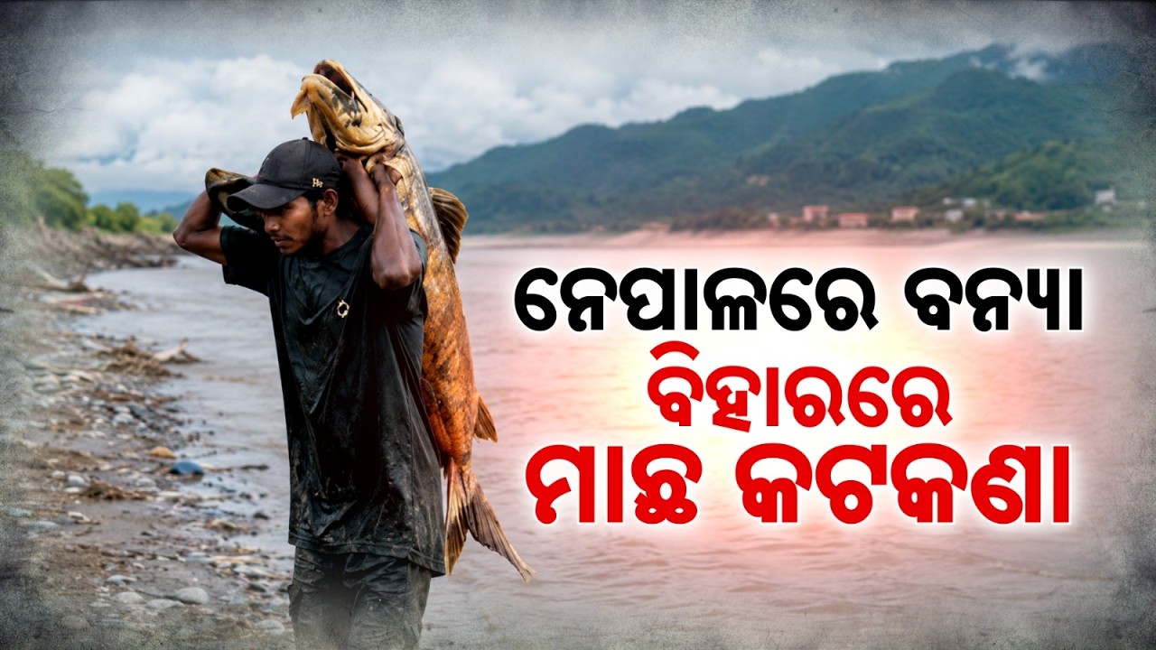 Bihar Flood Alert: Govt Warns Against Eating Unknown Fish Swept From Nepal | Argus News