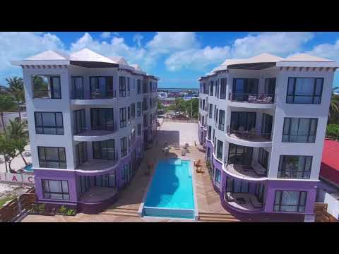 Property video