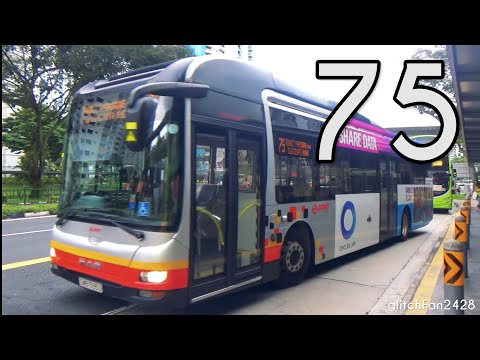 glitchFan2428
