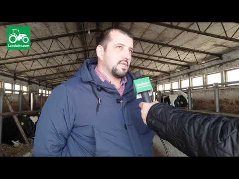 Ferma më e madhe për prodhimin e qumështit në Kosovë - Prizren (Pjesa e trete)