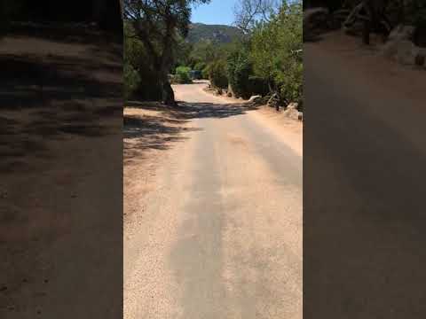 Property video