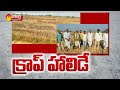 Farmers Declare Crop Holiday | CM KCR | Nizamabad | Sakshi TV