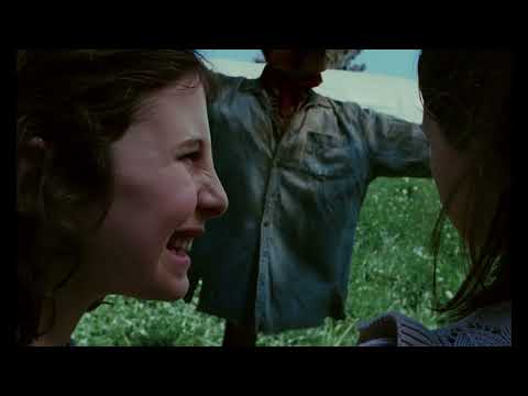 The Meaningless Daydreams of Augie & Celeste'