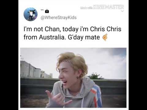 Stray kids memes and vines that toast my buns