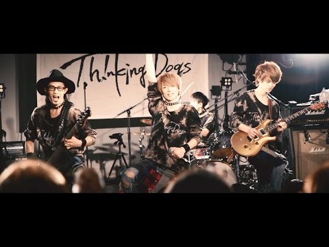 Thinking Dogs 『ハートビート』MUSIC VIDEO