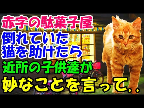 赤字の駄菓子屋の前で倒れていた猫を助けたら 近所の子どもたちが妙なことを言い出して 猫の不思議な話 朗読 まとめちゅーぶ