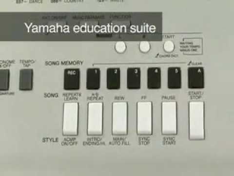 video Yamaha YPG 235 Review
