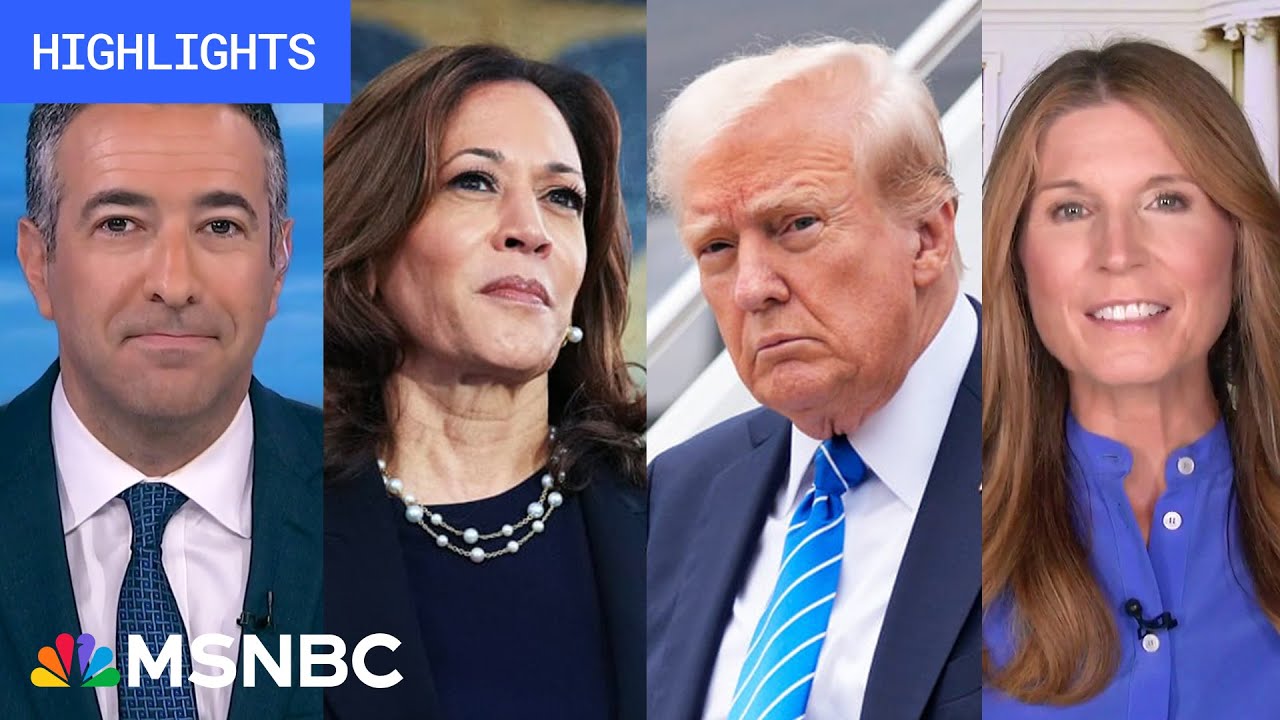 Countdown to the 2024 election: Day 87 | MSNBC Highlights