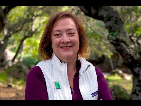 Meet Diane Regas, the incoming President and CEO of The Trust for Public Land Meet Diane Regas, the incoming President and CEO of The Trust for Public Land