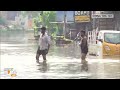 Cyclone Michaung Chaos in Chennai: Waterlogging and Uprooted Trees | News9  - 07:02 min - News - Video