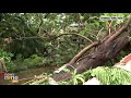 Cyclone Michaung Chaos in Chennai: Waterlogging and Uprooted Trees | News9
