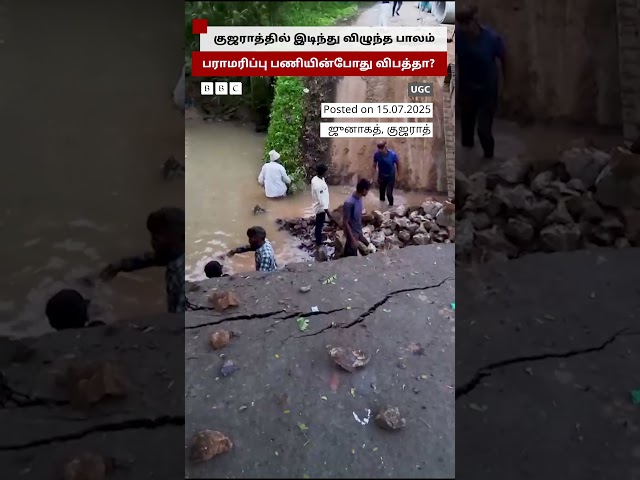 குஜராத்தில் மீண்டும் இடிந்துவிழுந்த பாலம்; ஆற்றில் விழுந்த மக்கள்
