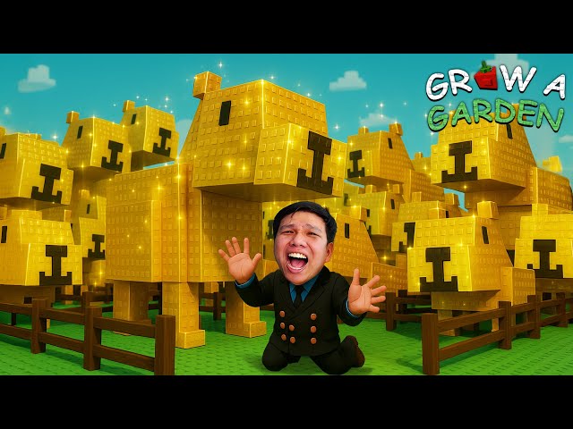 ฟาร์มคาปิบาร่าทองคำ 1 เดียวในไทย ! | Grow a Garden Roblox