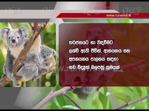 තර්ජනයට ලක්වූ ජීවීන් සඳහා E-Permit | Ru News