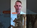 Australia approves chlamydia vaccine for koalas  - 00:34 min - News - Video