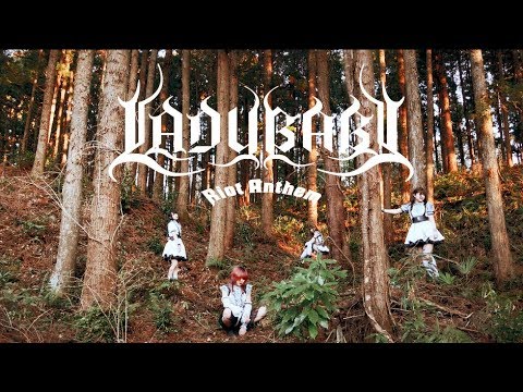 LADYBABY