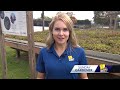 Sunday Gardener: Green roof technology(WBAL) - 02:47 min - News - Video