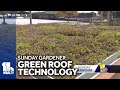 Sunday Gardener: Green roof technology