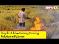 Pak Complains About Delhi Smoke | Punjab Stubble Burning  Affecting Lahore | NewsX
