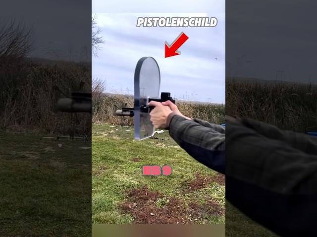 ✅ Transparenter Polizeischild Aus Brasilien 🛡