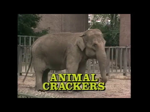 Animal Crackers'