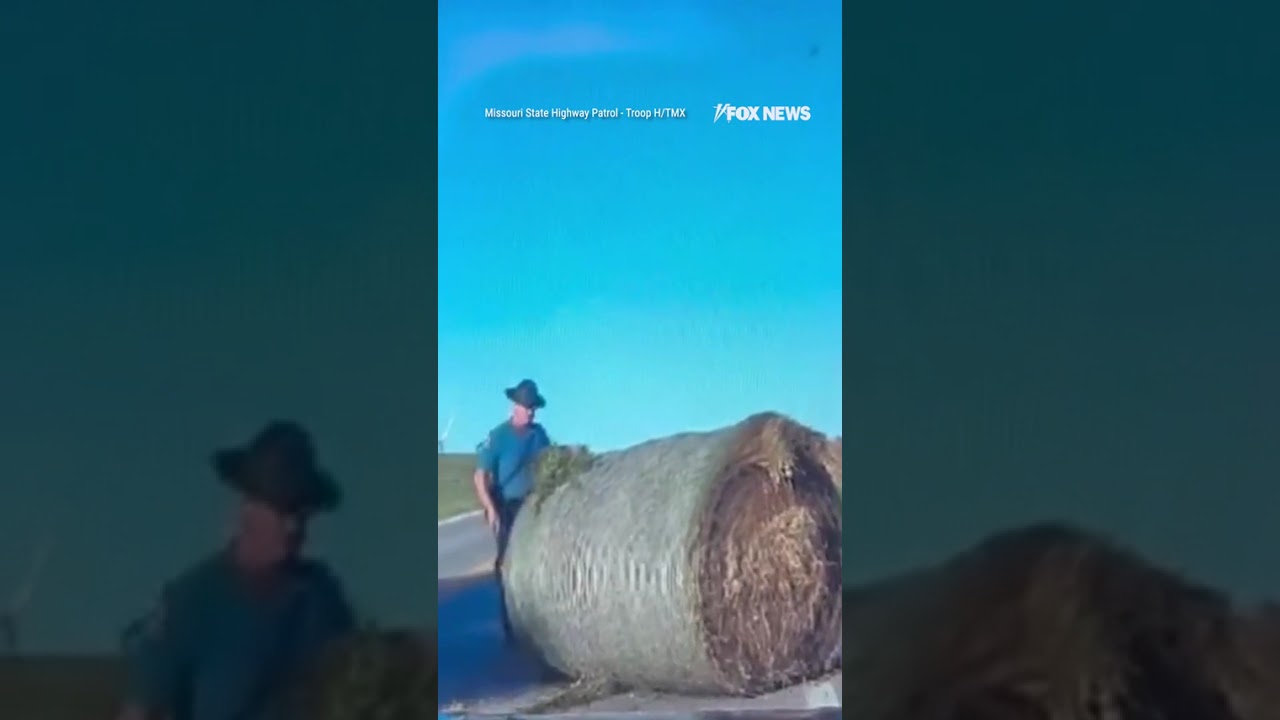 WATCH: State Trooper pushes a massive hay bale that blew into the road #shorts #watch #video #usa