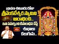 శ్రావణ శనివారం రోజు శ్రీవెంకటేశ్వర స్వామిని ఆరాధించి ఇవి సమర్పించి దీపారాధన చేస్తే శుభాలు కల