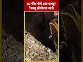 Madhya Pradesh के सतना में सीवर लाइन के काम के दौरान फंसा मजदूर | #shorts #shortsvideo  - 00:33 min - News - Video