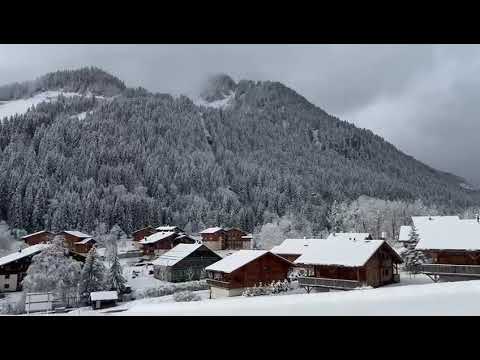 Property video