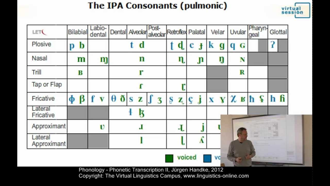 Phonology - Phonetic Transcription II
