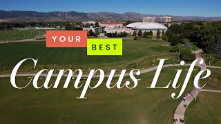 Discover Your Perfect Living Option at CSU | Colorado State University Residence Halls