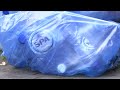 The bacteria that can digest plastic | REUTERS